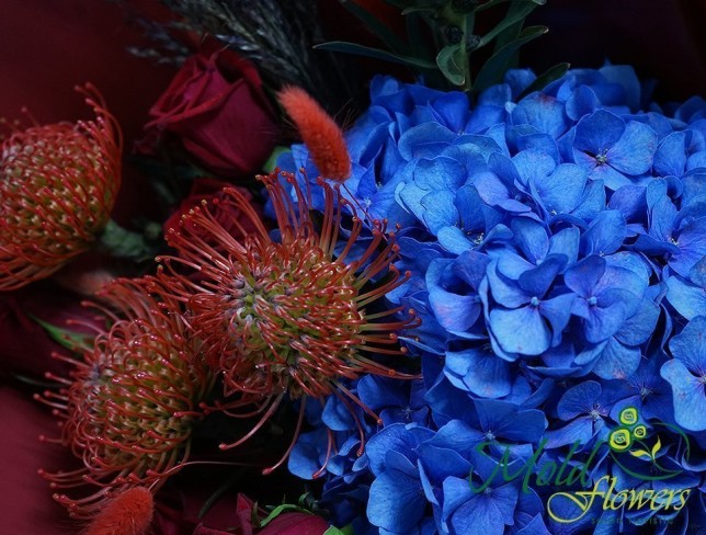 Bouquet with blue hydrangea and Leucospermum ''Scorpion'' photo